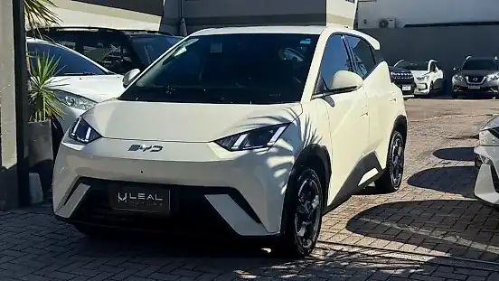 Foto de um byd dolphin mini