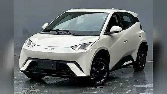 Foto de um byd dolphin