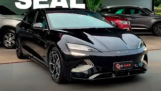 Foto de um byd seal