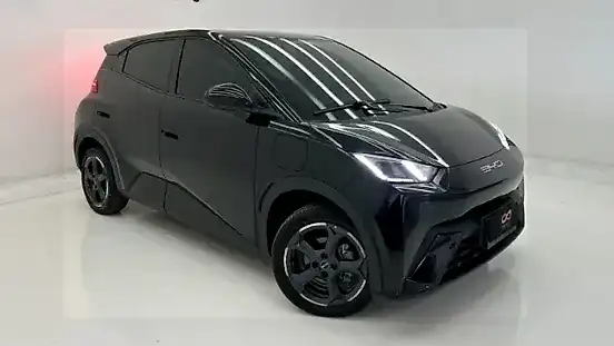Foto de um byd dolphin mini