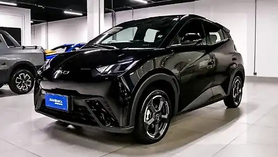 Foto de um byd dolphin mini