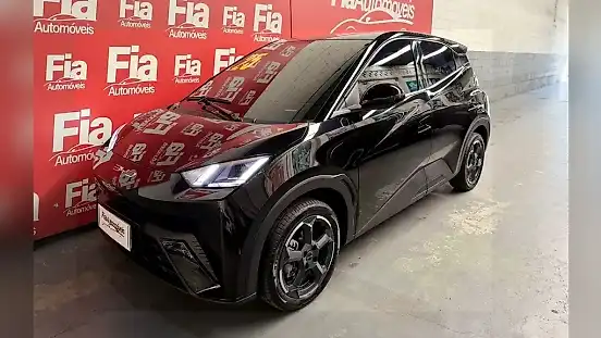 Foto de um byd dolphin mini