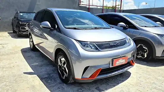 Foto de um byd dolphin