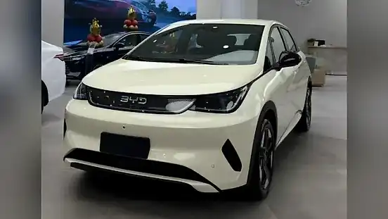 Foto de um byd dolphin plus