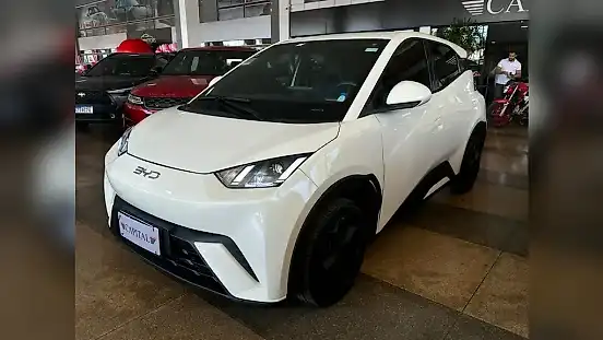 Foto de um byd dolphin