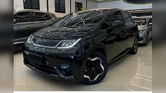 Foto de um byd dolphin