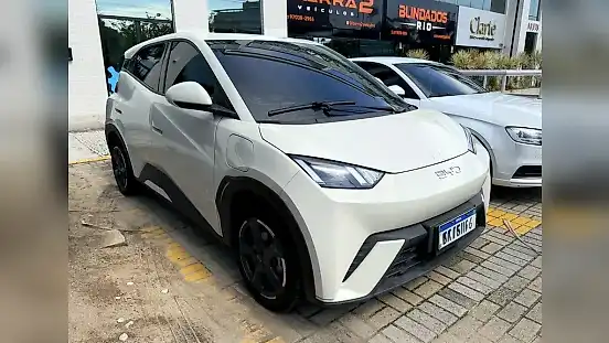 Foto de um byd dolphin mini