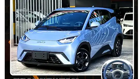 Foto de um byd dolphin mini