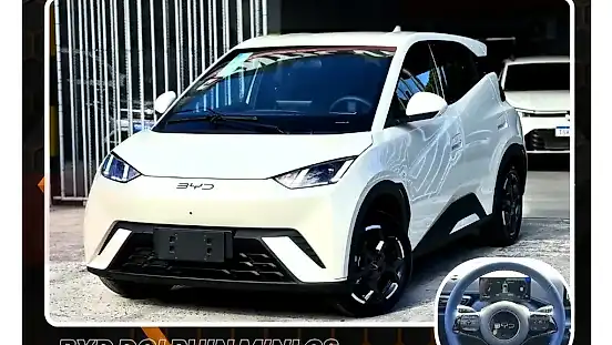 Foto de um byd dolphin mini