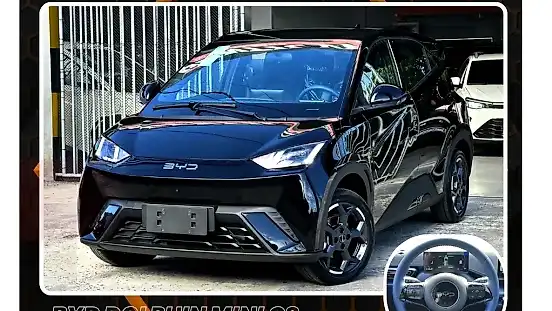 Foto de um byd dolphin mini