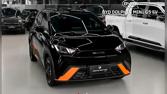 Foto de um byd dolphin mini