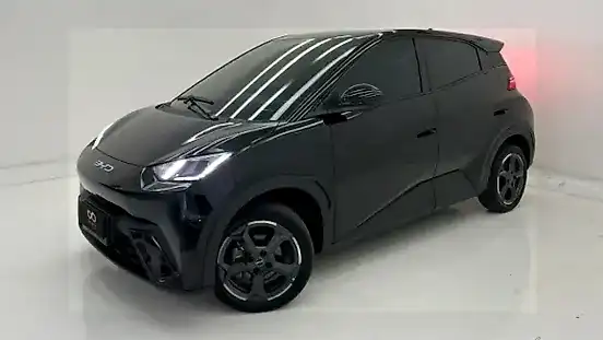 Foto de um byd dolphin mini
