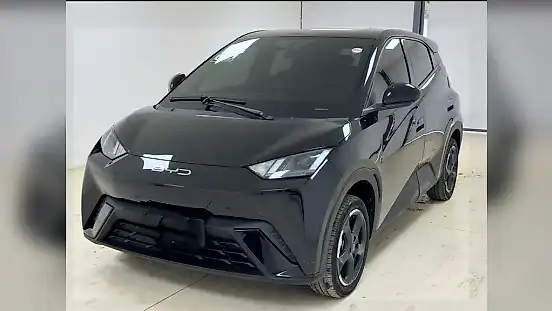 Foto de um byd dolphin mini
