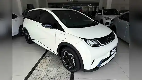 Foto de um byd dolphin plus