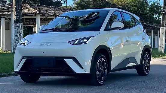 Foto de um byd dolphin