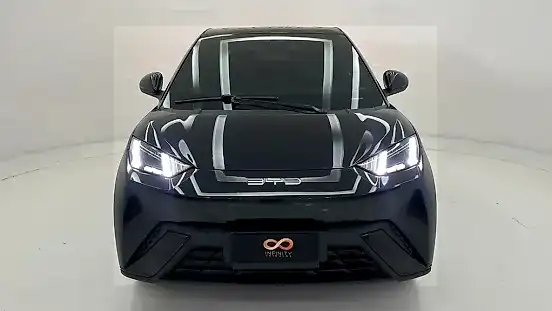 Foto de um byd dolphin mini
