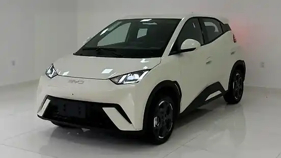 Foto de um byd dolphin mini