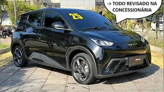 Foto de um byd dolphin mini
