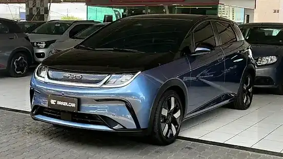 Foto de um byd dolphin