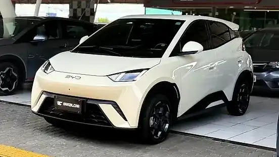 Foto de um byd dolphin