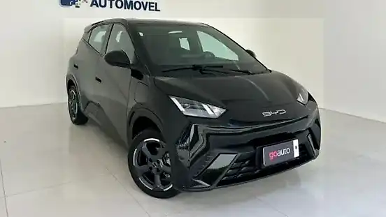 Foto de um byd dolphin mini