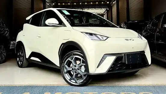 Foto de um byd dolphin mini