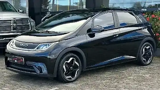Foto de um byd dolphin