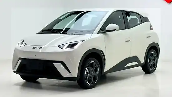 Foto de um byd dolphin mini