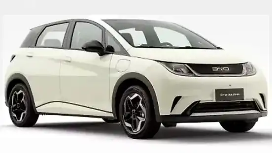 Foto de um byd dolphin