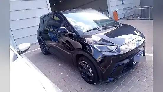 Foto de um byd dolphin mini