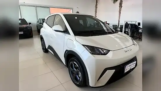 Foto de um byd dolphin mini