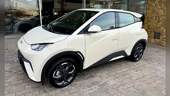 Foto de um byd dolphin mini