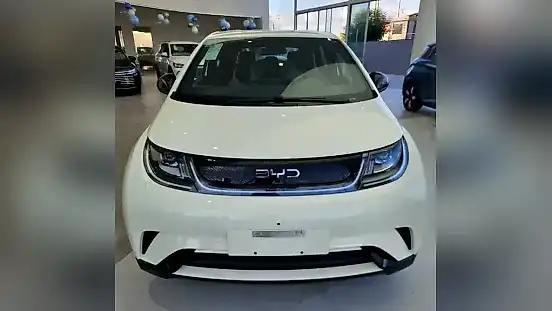 Foto de um byd dolphin