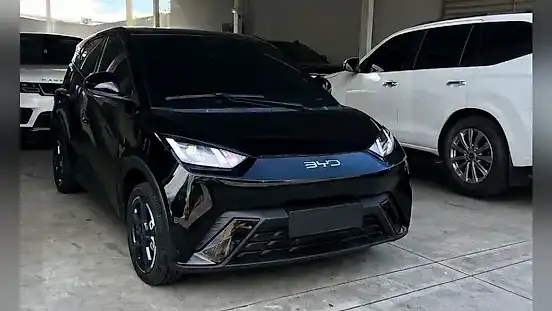 Foto de um byd dolphin mini