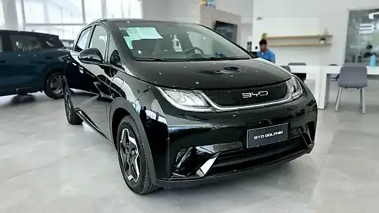 Foto de um byd dolphin