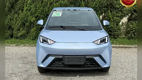 Foto de um byd dolphin mini