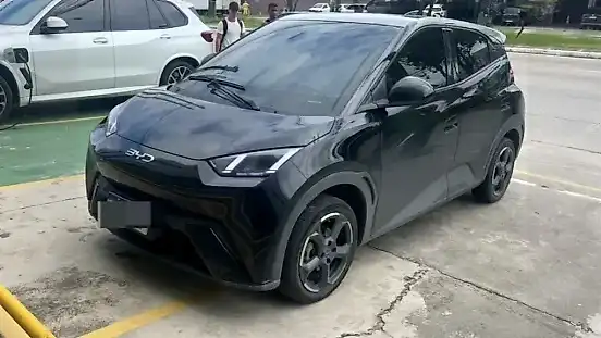 Foto de um byd dolphin mini