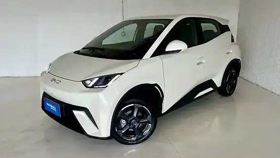 Foto de um byd dolphin mini
