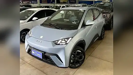 Foto de um byd dolphin mini