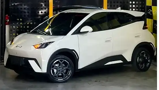 Foto de um byd dolphin mini