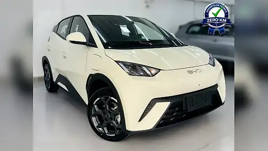 Foto de um byd dolphin mini