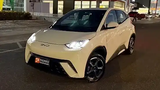 Foto de um byd dolphin mini