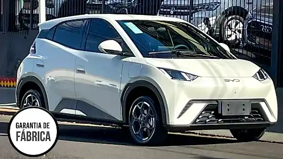 Foto de um byd dolphin mini