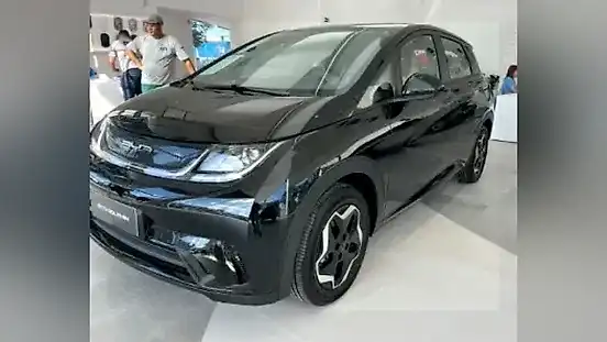 Foto de um byd dolphin
