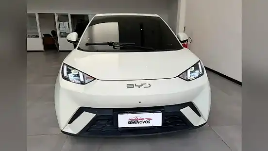 Foto de um byd dolphin mini