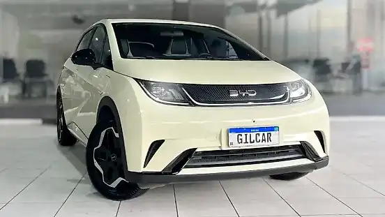 Foto de um byd dolphin