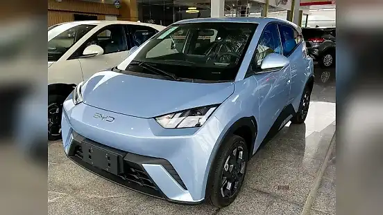 Foto de um byd dolphin