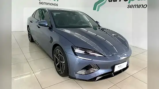 Foto de um byd seal