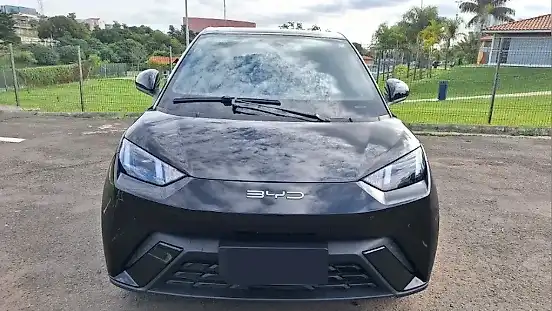 Foto de um byd dolphin mini