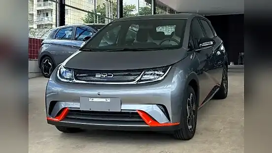 Foto de um byd dolphin